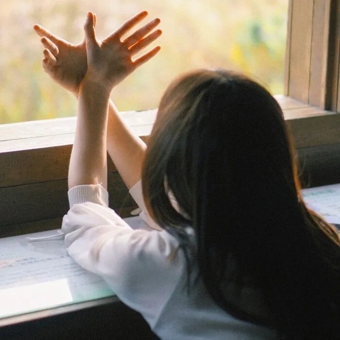 九个完美陌生人第二季