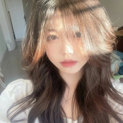 秘密战队五连者